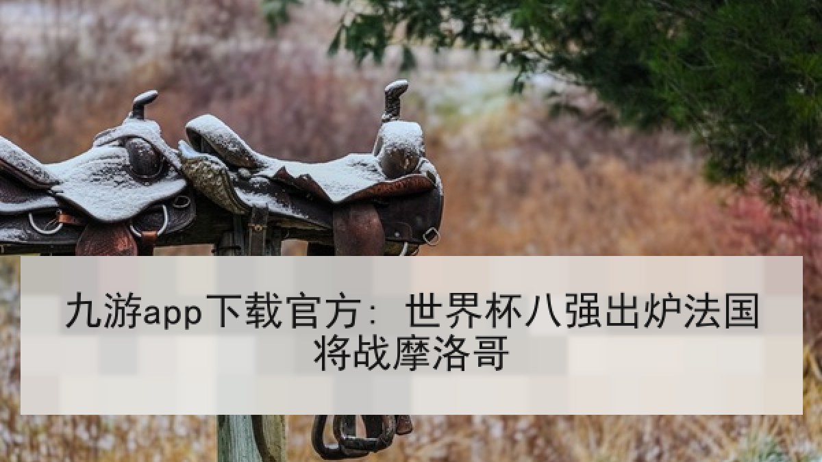九游app下载官方: 世界杯八强出炉法国将战摩洛哥