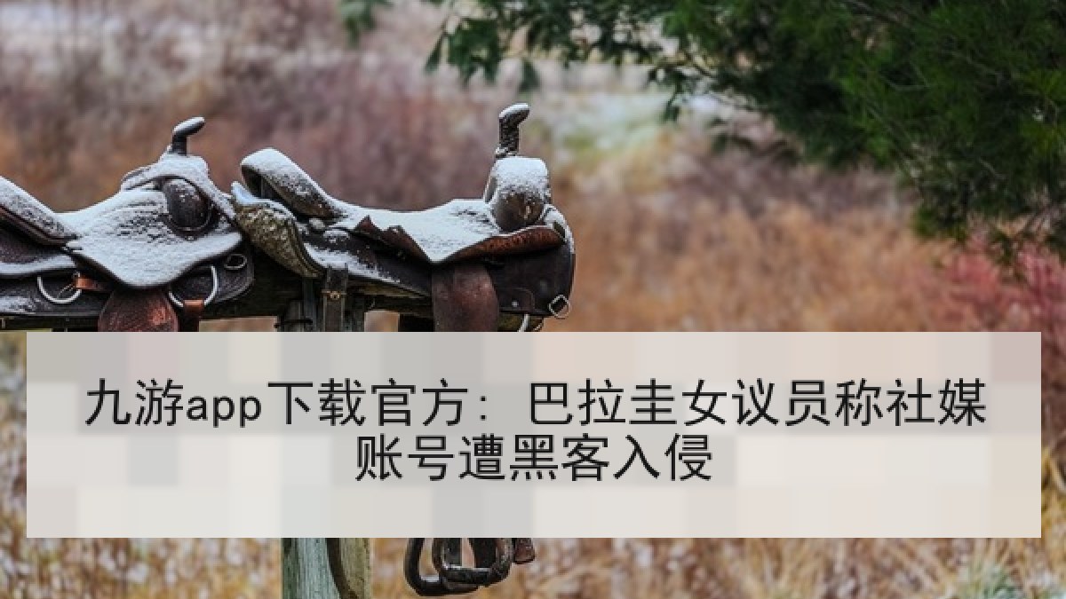 九游app下载官方: 巴拉圭女议员称社媒账号遭黑客入侵