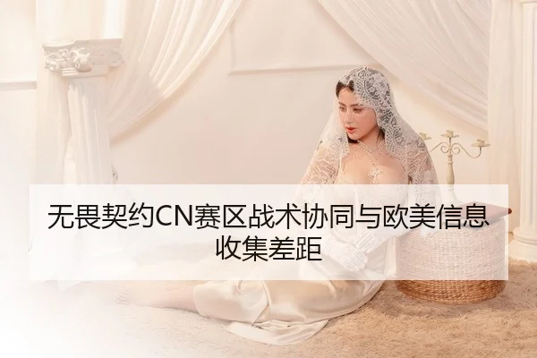无畏契约CN赛区战术协同与欧美信息收集差距