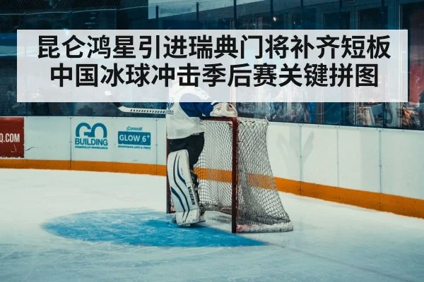 昆仑鸿星引进瑞典门将补齐短板 中国冰球冲击季后赛关键拼图