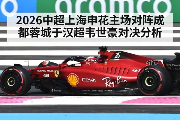 2026中超上海申花主场对阵成都蓉城于汉超韦世豪对决分析